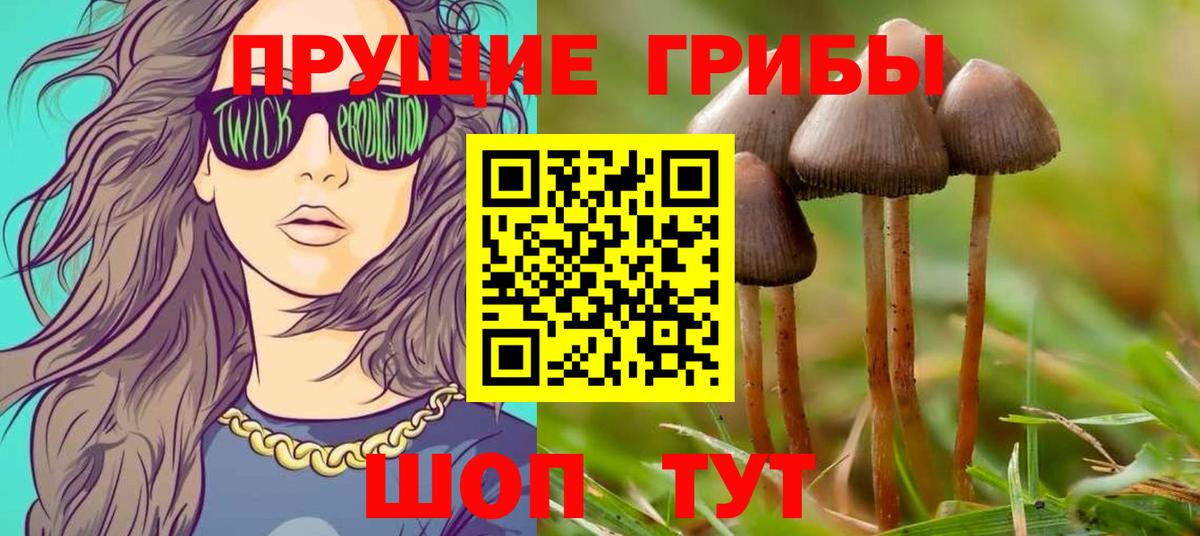 Череповец  Галлюциногенные грибы Psilocybe  Вход с VPN  Галлюциногенные грибы прущие грибы 